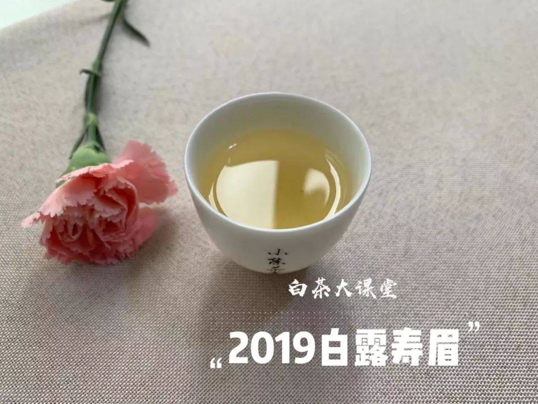 原料|白茶是什么，难道就是白色的茶叶吗？白茶国标给出了明确答案