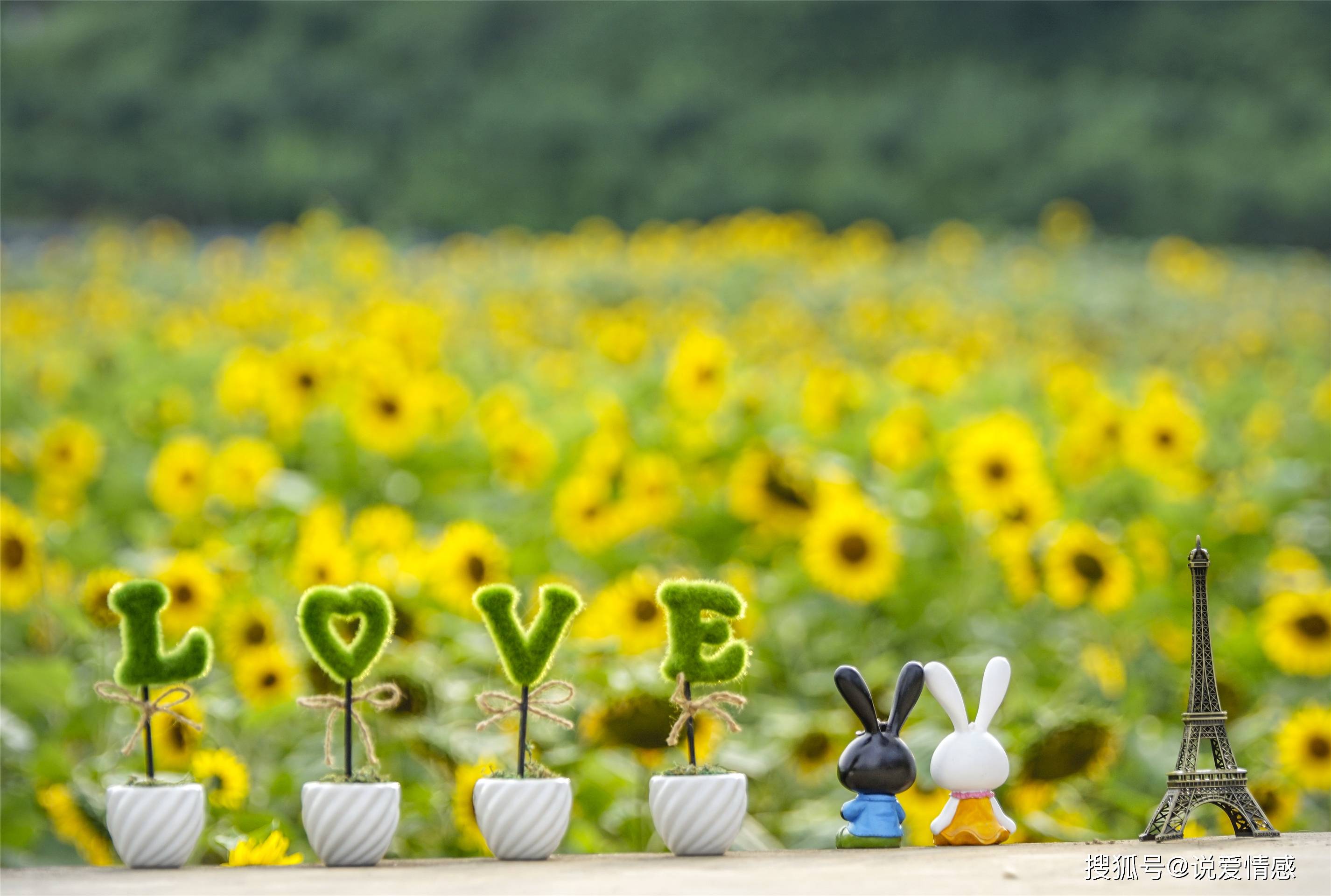 勤俭持家过日子的女人 e164cf58d9ea44ecaba4c770630e6110.jpeg