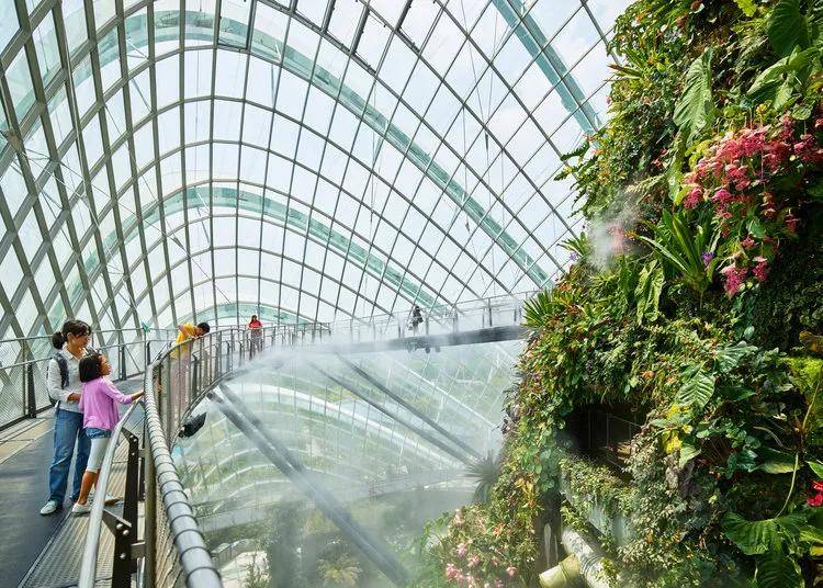 全球立体绿化经典案例:新加坡滨海湾金沙商业综合体_花园_植物_建筑