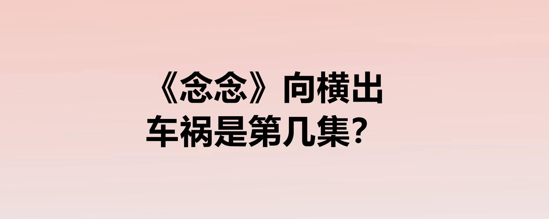 因为|《念念》向横出车祸是第几集？这部剧是哪一年播的？