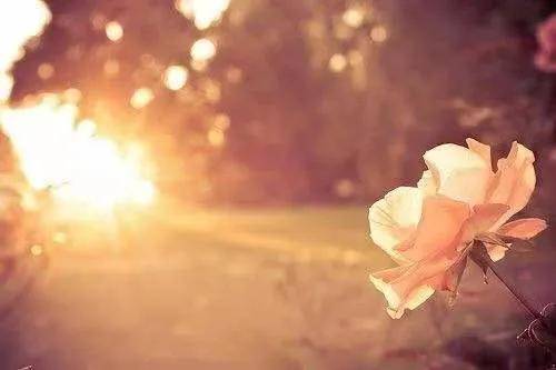 左德浩 回望21 在感动中前行 中原作家 工作 曹雪芹 生活