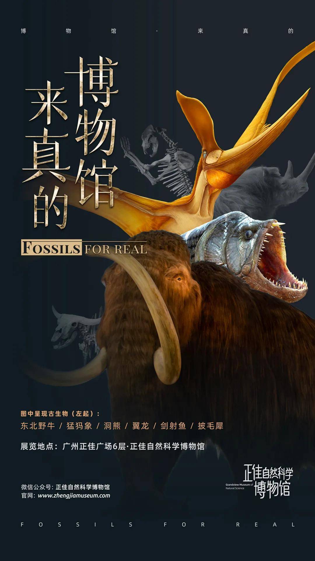 博物馆美术馆海报看个够