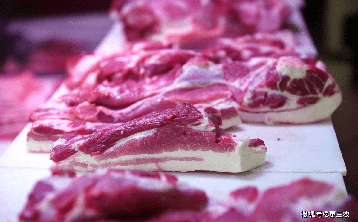 企业|1月20日,猪价、粮价联袂下跌,玉米价格迎关键利好!发生了啥?