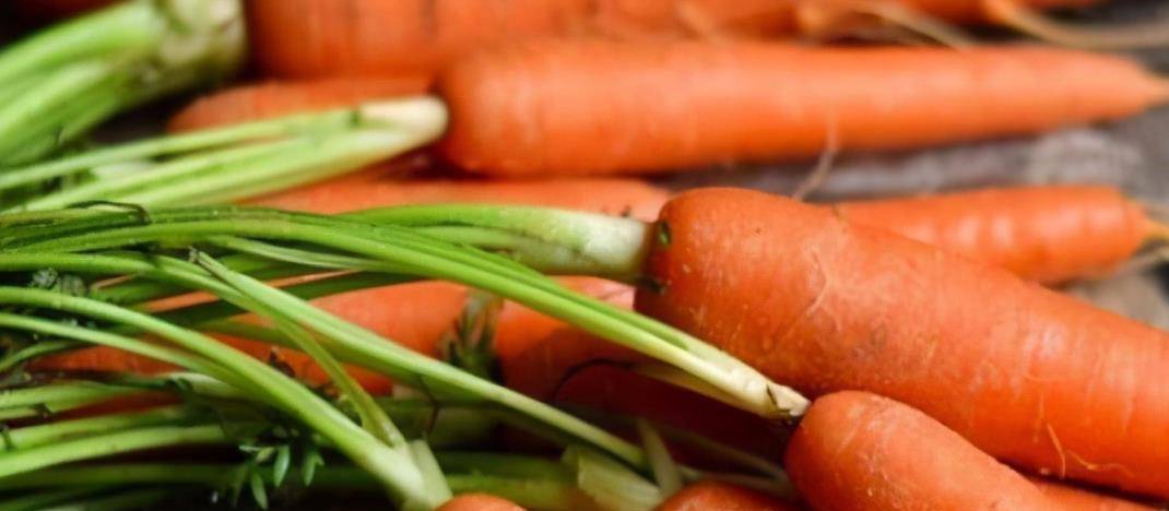 吃什么东西补气血效果好 13da107389b5409eb0288faebf1ce1a4.jpeg