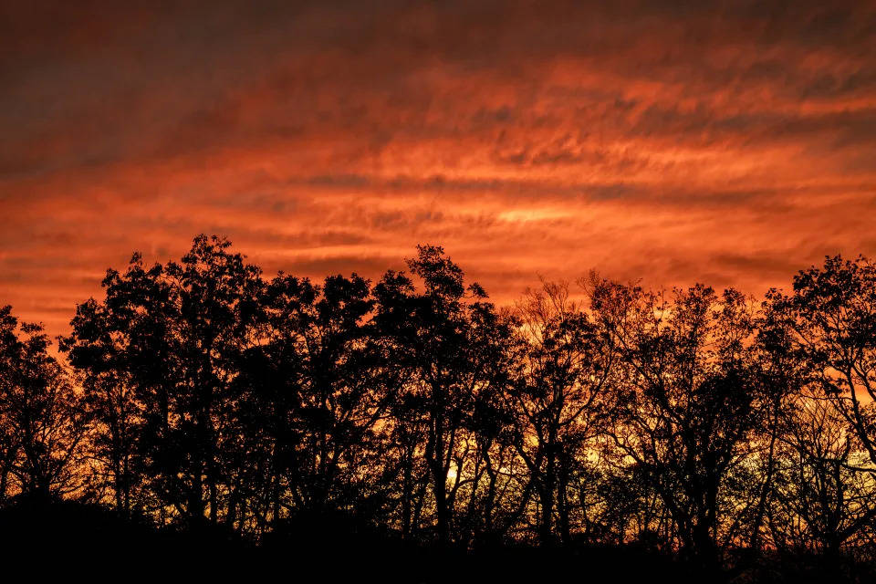 ​5年漫漫公益路背后,海信冰箱正在全球市场由大变强-家电圈官网