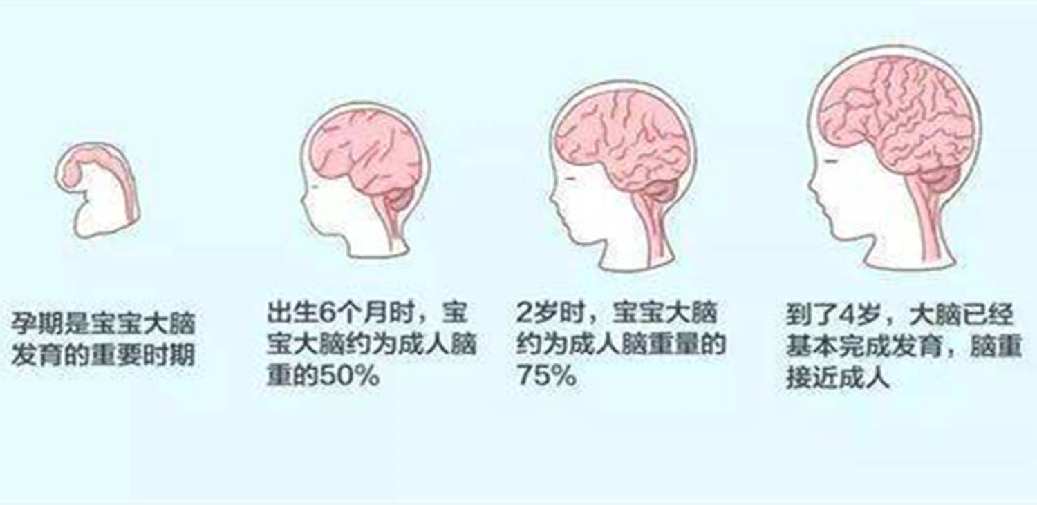 智商|遗传和孕期营养，哪个对宝宝的智商影响更大？附孕期饮食指南