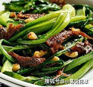 豆豉鲮鱼油麦菜做法用的啥豆豉 c461b732886e4641a20c1c041deb2601.jpeg