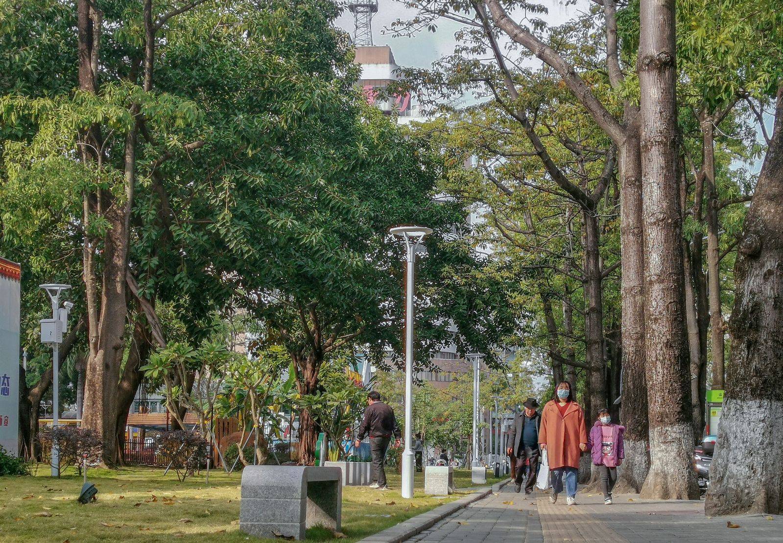 汕頭市民新春大禮包請接好金砂公園開啟共享模式啦