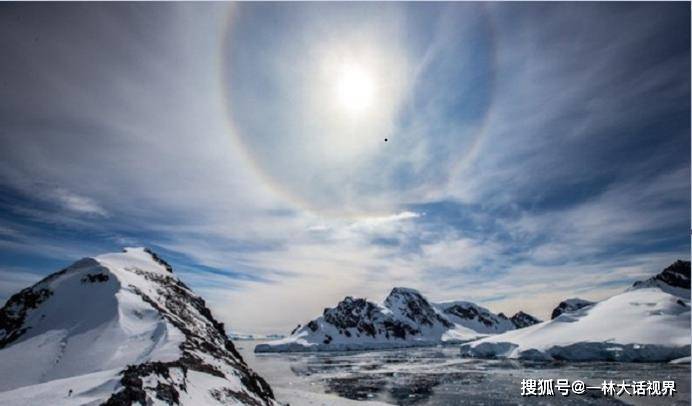 原創南極發現新物種它本不應該出現連人類手掌溫度都能燒死它