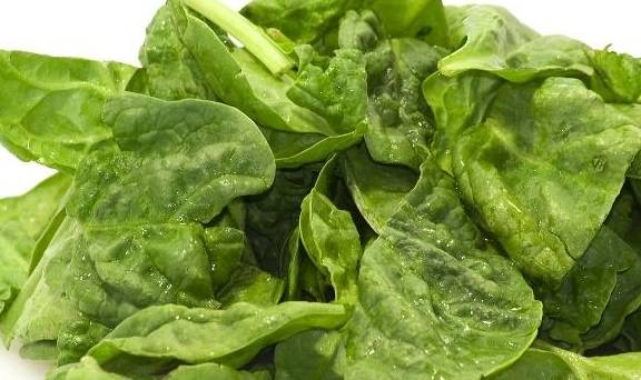 绿叶菜隔夜致癌 763b1b6dbaa641efa80c32d1c7c55d34.jpeg