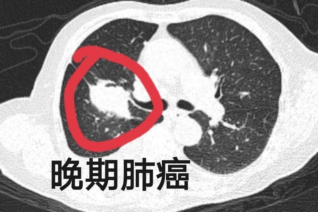 8af3f236c055437fa42aff013f13dfb9.jpeg