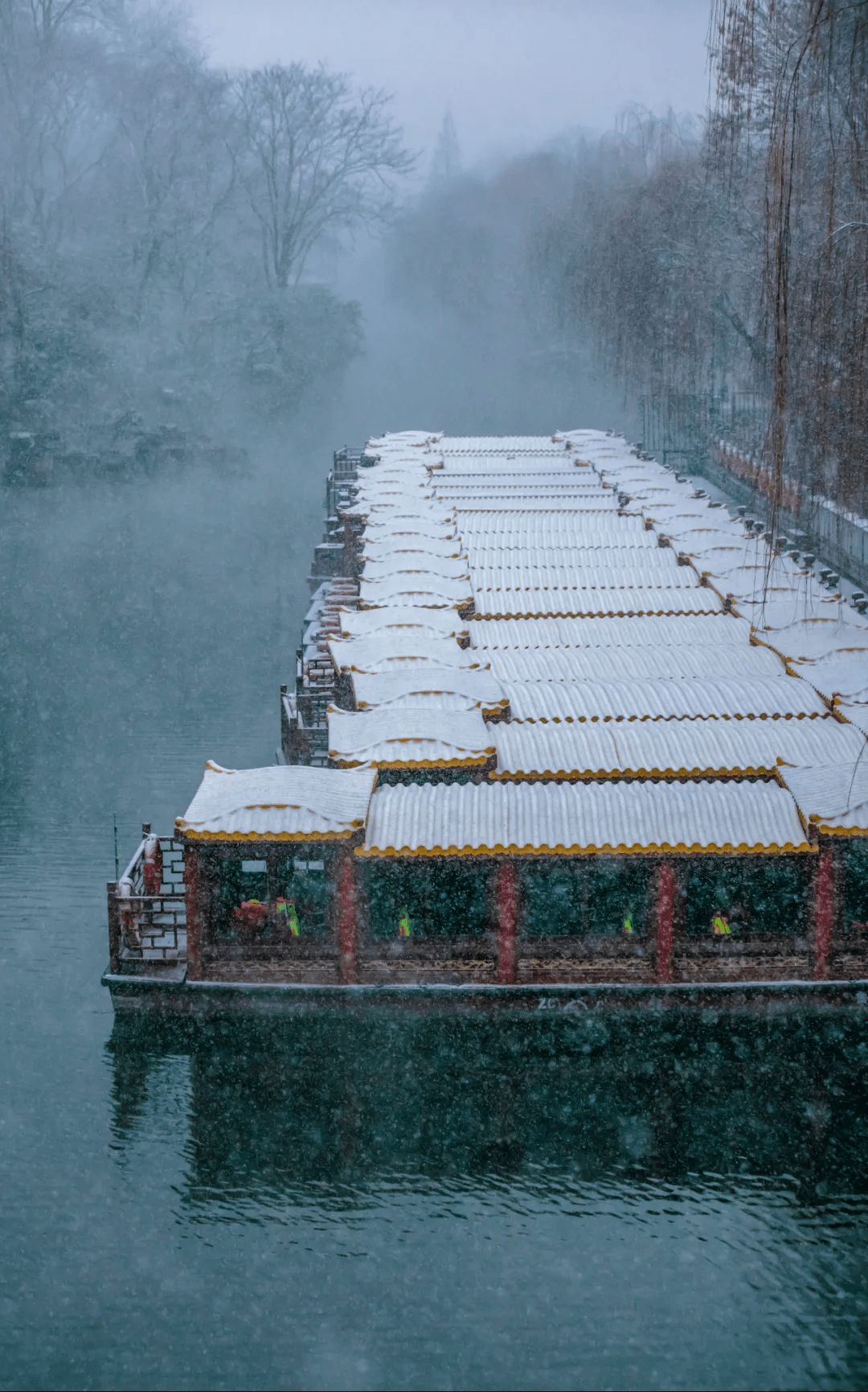 济南|赏雪景，看万点星光！这份快乐不能错过