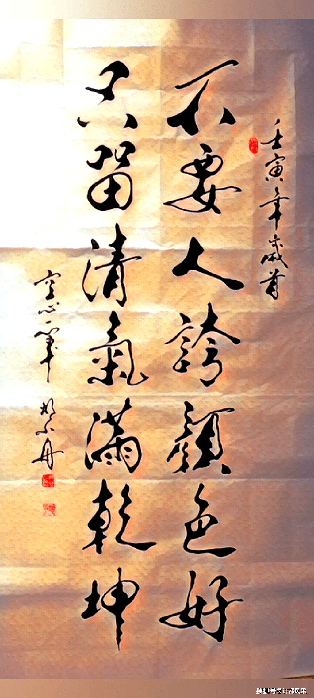 胡小舟作品欣赏以艺抗疫中央电视台《艺览天下》栏目特邀书法家,中华