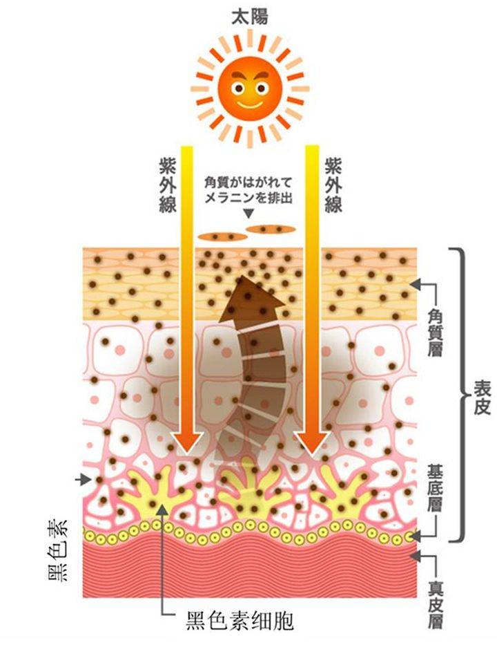 因为痘痘的诞生