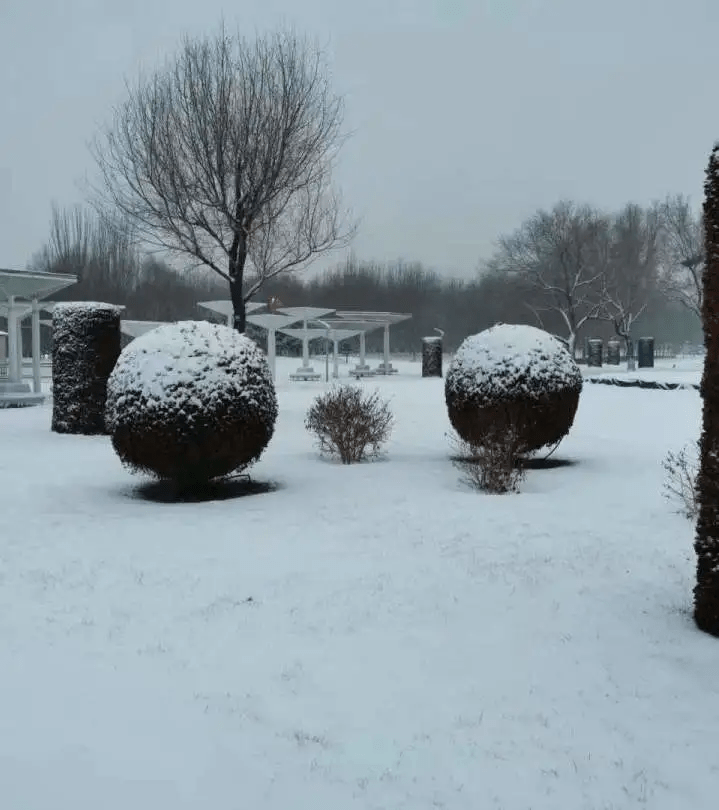 年味|扫雪除冰干起来！