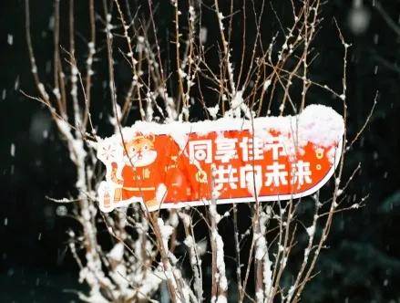 卢建军|“报平安！我们到家了！”——西安交通大学学子平安返家