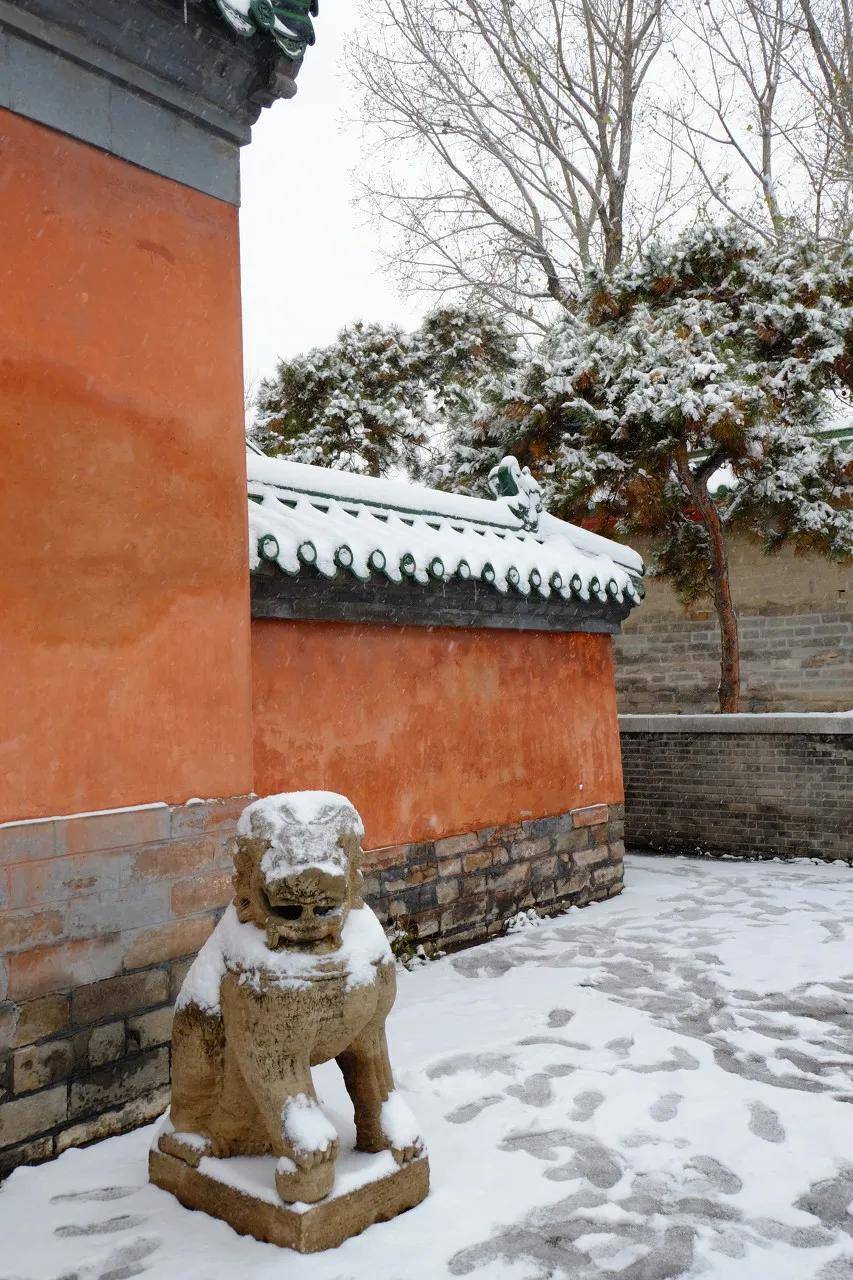 雪点缀过的红墙才是记忆里冬日的北平