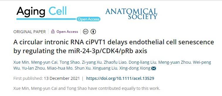 一区，IF=9.3|云序客户Aging Cell揭示circRNA调控内皮细胞衰老的分子机制