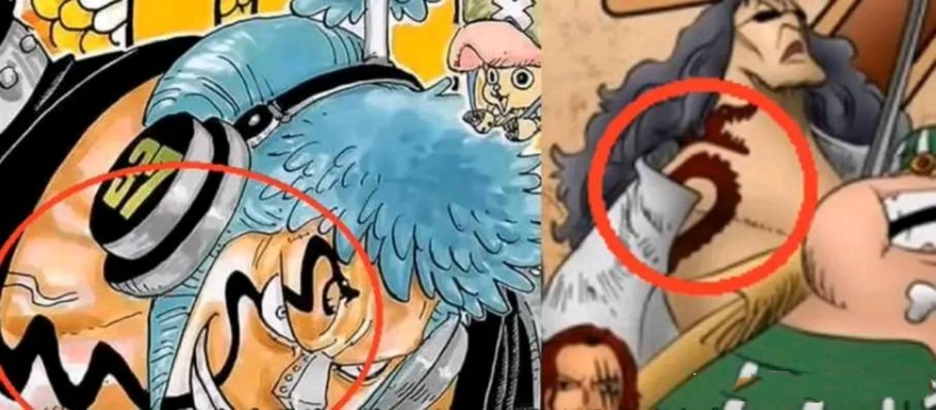 山治会|海贼王：草帽团除了乔巴，其他伙伴的“背景”都十分不简单