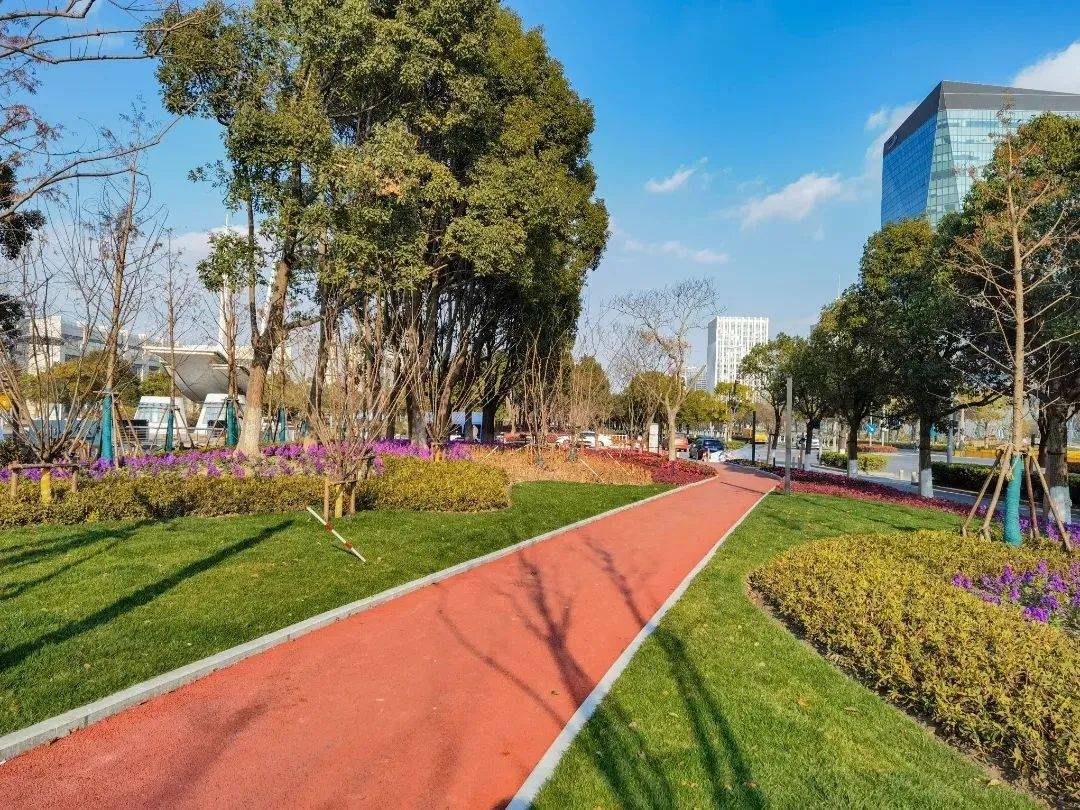 四时花开终年常绿临港新片区的这条绿带焕然一新
