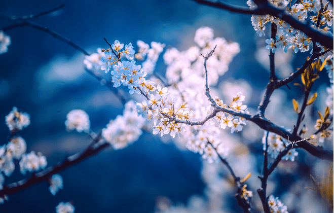 怎样才能过得舒心 866eecd4f43f405da9a222463d7544d0.png