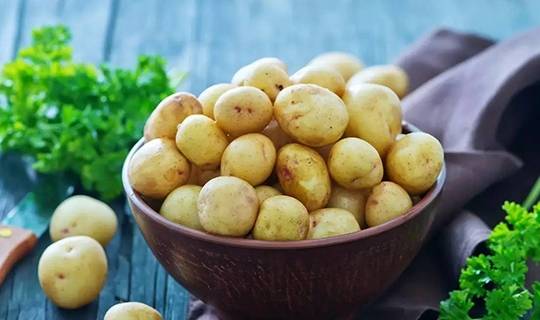 易于控制|肾病饮食：土豆代替主食的崛起