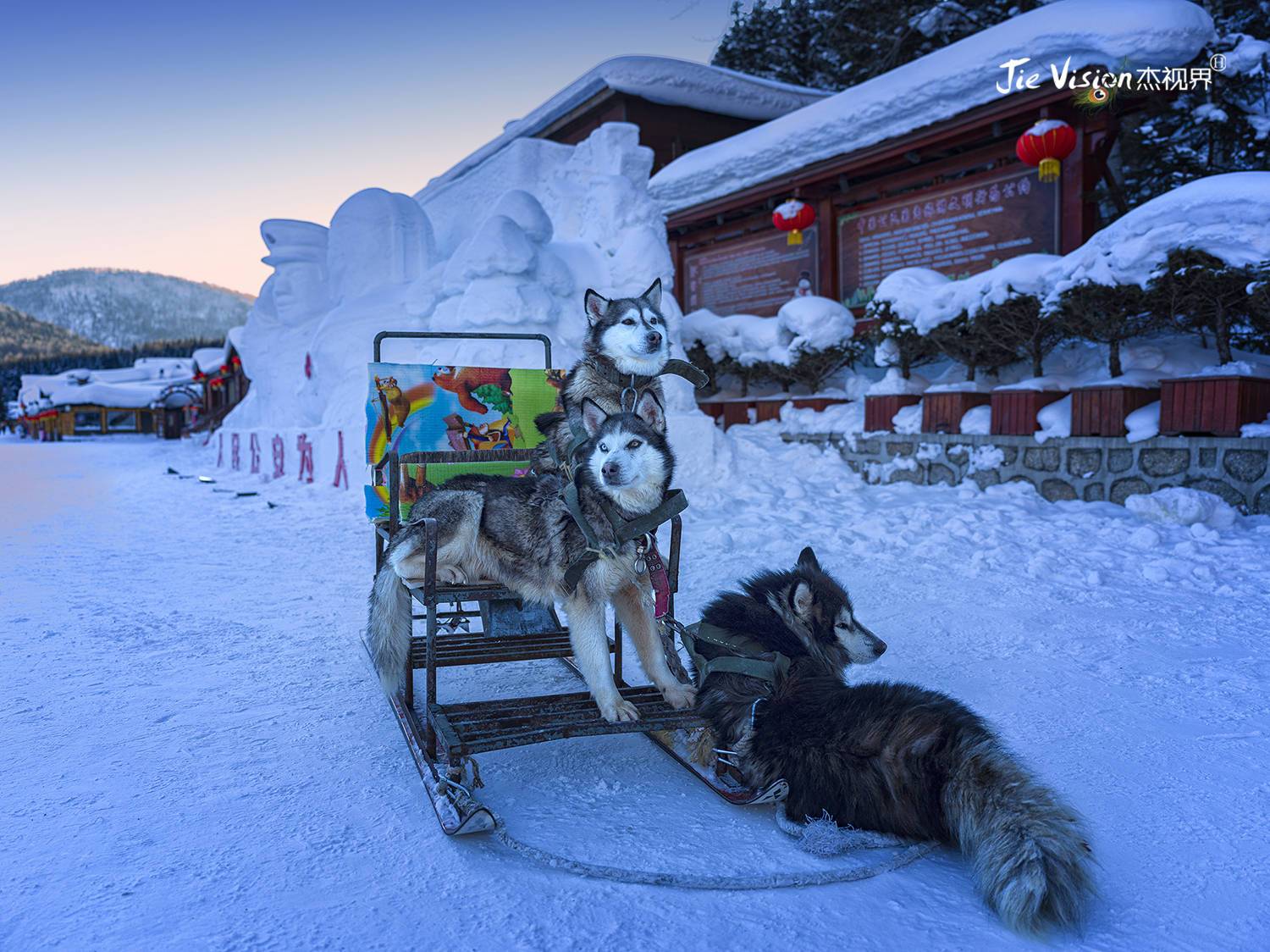 雪乡|宰客毫无底线？冬季旅游雪乡还值得去吗？还你一个最真实的雪乡！