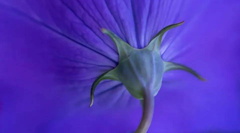 家电业一枝独秀!洗衣机满意度创5年来最高水平-家电圈官网