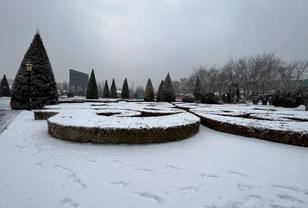 一阳新鲜事：“让我在雪地上撒点野”？“让我在花房里看看花姑娘”_植物_