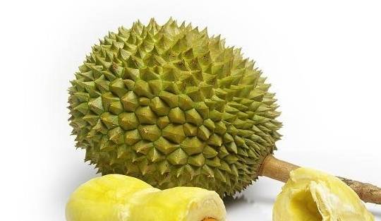 什么时候的榴莲是最好吃的 4b03dffdd05f46c3ba6e9dd6e26d44a2.jpeg