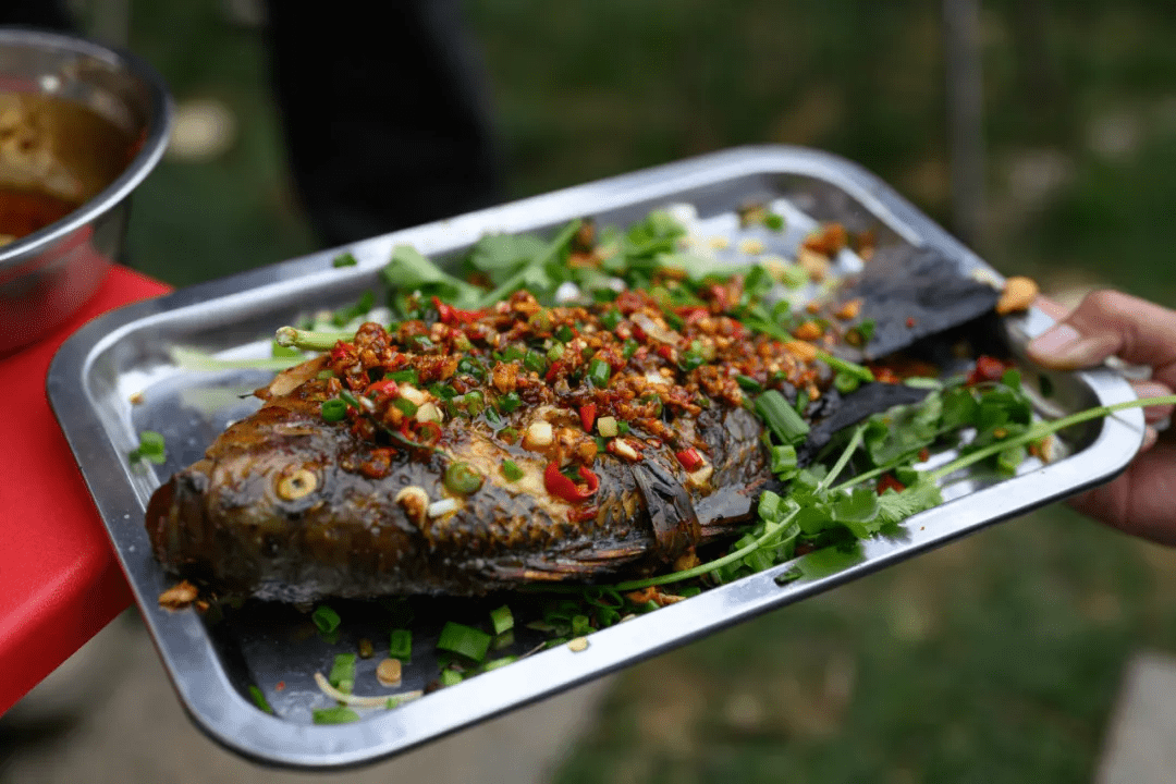 烤鱼|走湿地观鸟 逛古村落寻美食——北海乡春节的正确打开方式