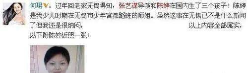 父亲|永远放不下的仇？71岁张艺谋三次起诉张伟平，看他俩16年恩怨始末