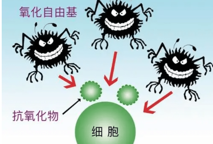 氧化美白没做对，用再多的美白精华都无效！搞清楚这些，才能高效美白