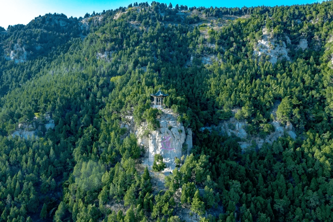 济南|新春登山节节攀！济南这些爬山登高好去处怎么能错过！