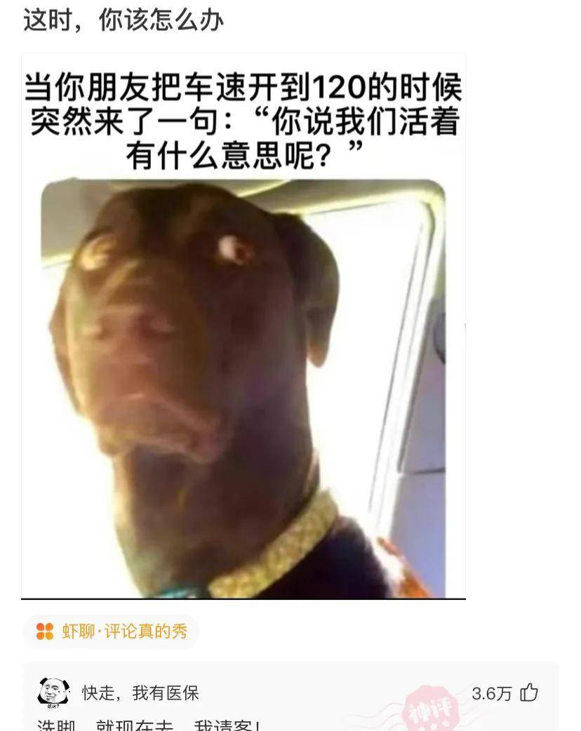 怎么样才能不坐飞机 567001e074a3491aab47f3346d224523.jpeg