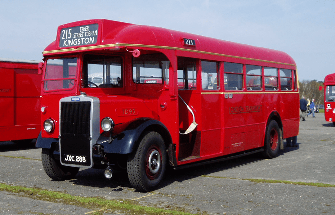 虎年冷知识你知道多少哪些虎牌汽车