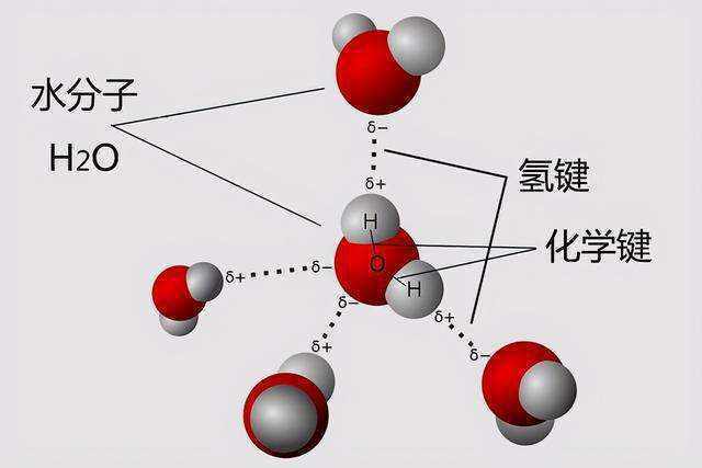 氟化氢中氢键示意图图片