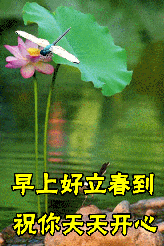 2022年2月4日最新立春祝福语大全虎年立春问候动态表情图片带字带祝福