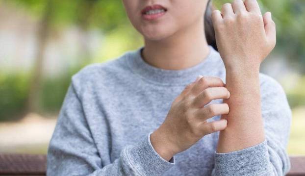 2664587e49cb4cd69769fa197a8ab50c.jpeg