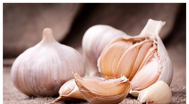 蒜头图片怎么画 904b036a125d46d4bde7624f74bc46f7.jpeg