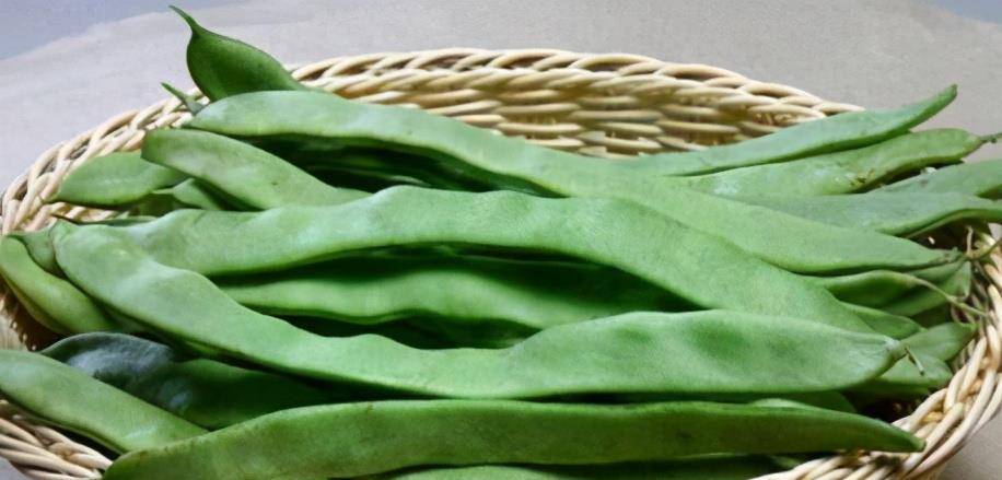 笋是酸性还是碱性的 c51bdc84a01d4ff3abc74de1606cc6d8.jpeg