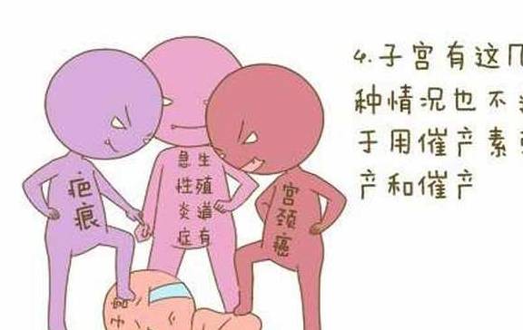 425d479d70e34186b858f3330cdf0acd.jpeg