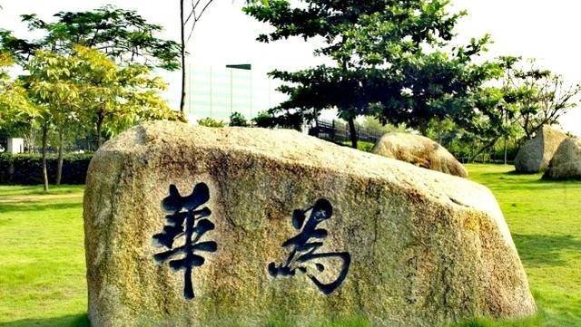 国内品牌汉堡排行榜_中国品牌100强榜单出炉,华为第5,茅台第3,榜首无可撼动