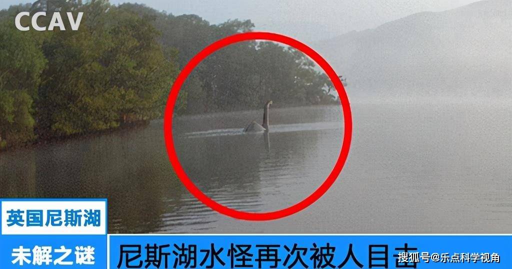 尼斯湖水怪 现身图片