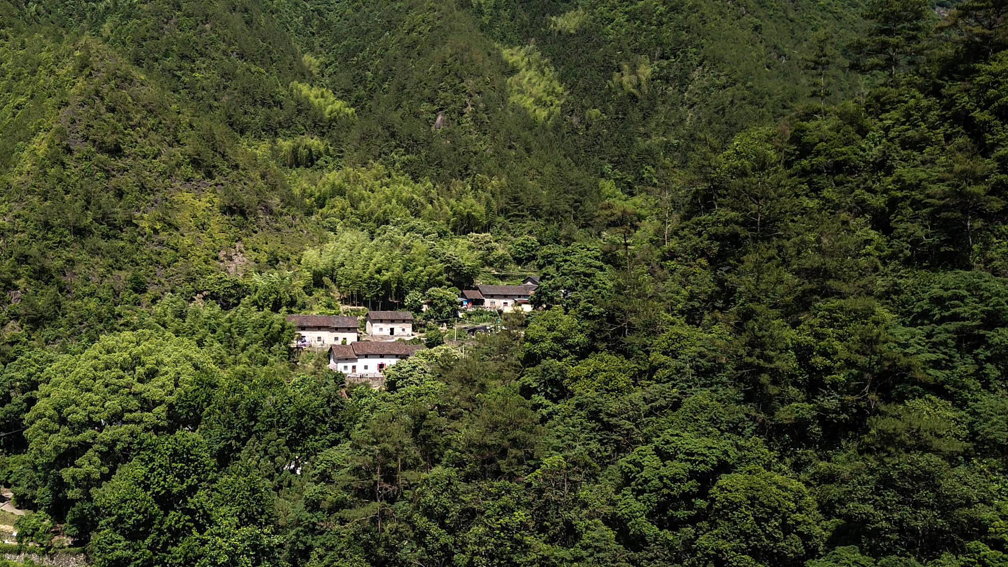 隐秘|浙江深山藏“隐秘”的千年古寨，历史悠久民风淳朴，没有商业气息