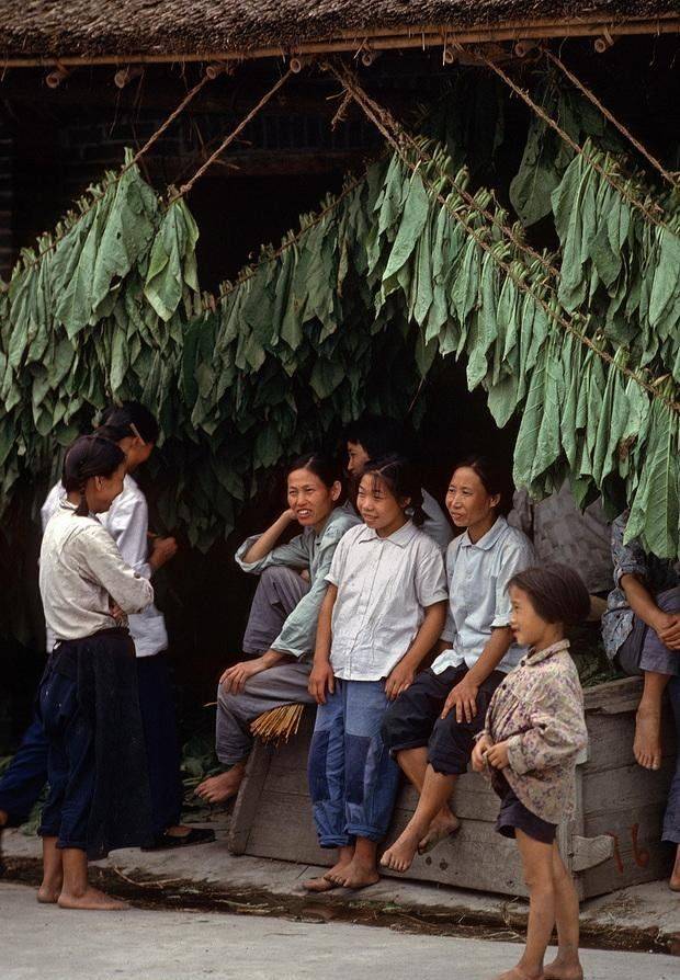 1981年的四川乐山老照片