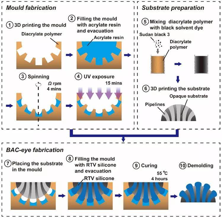 的x标记以及跟踪发蓝光的三角标记该成果以"biomimetic apposition