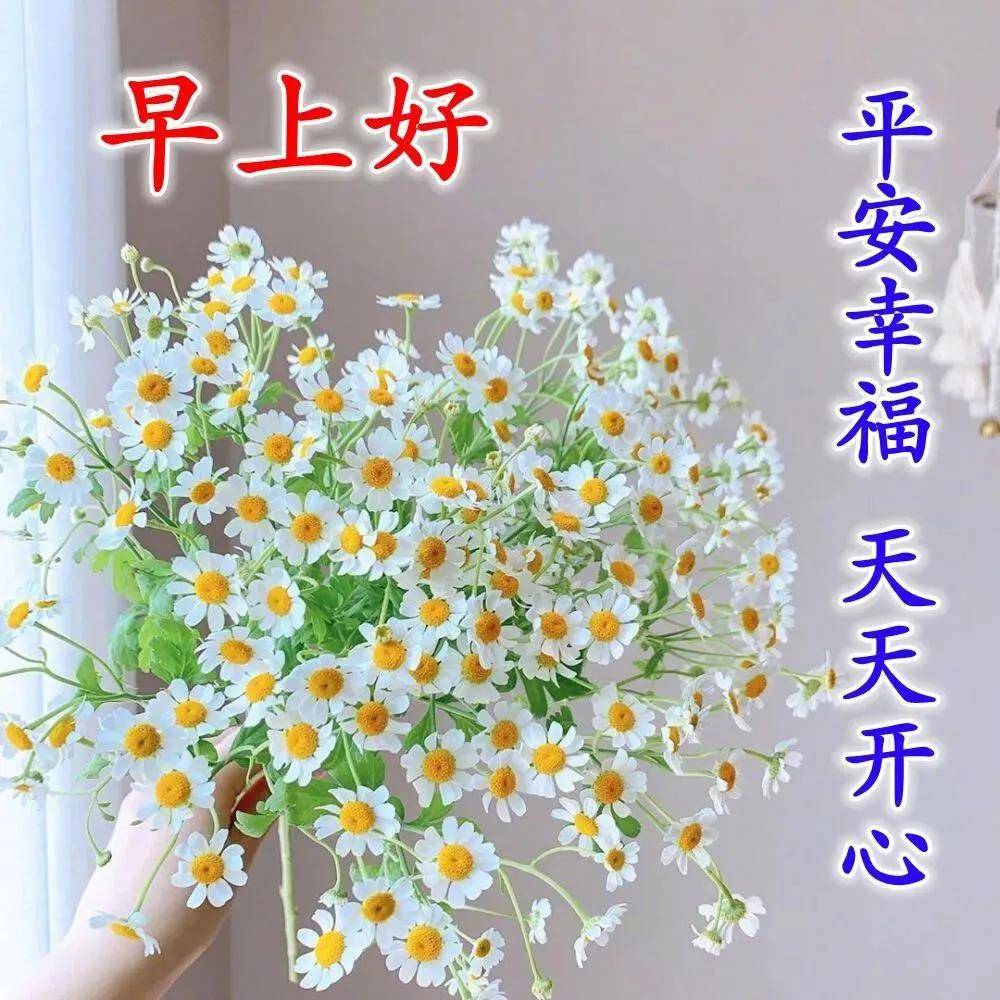 原创正月十一最新漂亮早安图片鲜花带字带祝福语