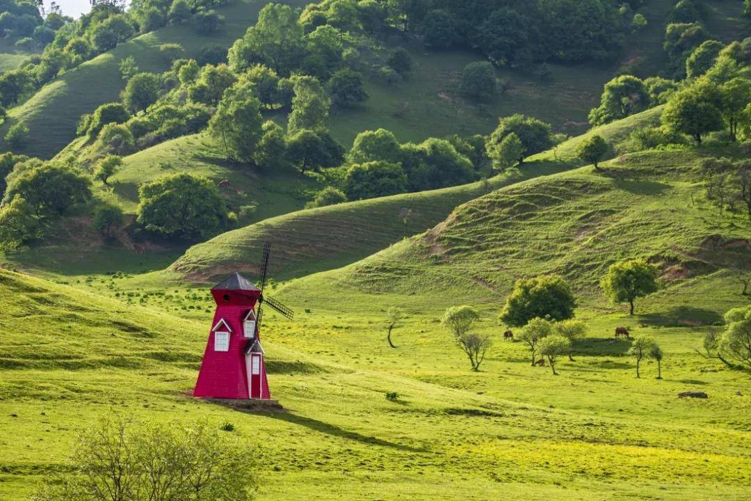 历史|陕西这个“最美草地”，不来就是你的损失！