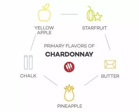 男爵|葡萄酒该按照什么顺序喝？垂直品鉴和水平品鉴又是怎么回事？